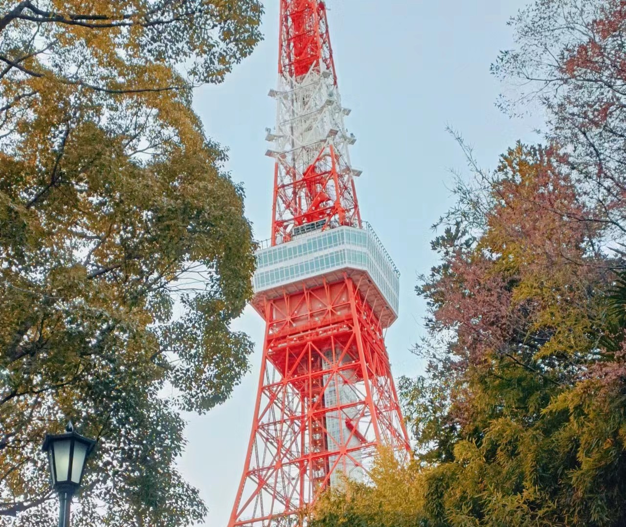 日本留学