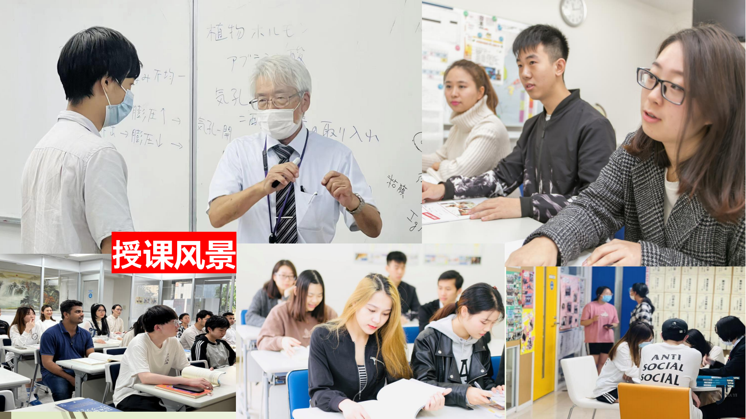 圣玛丽日本语学院